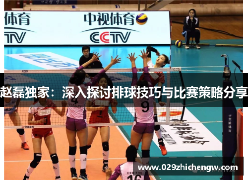 赵磊独家：深入探讨排球技巧与比赛策略分享