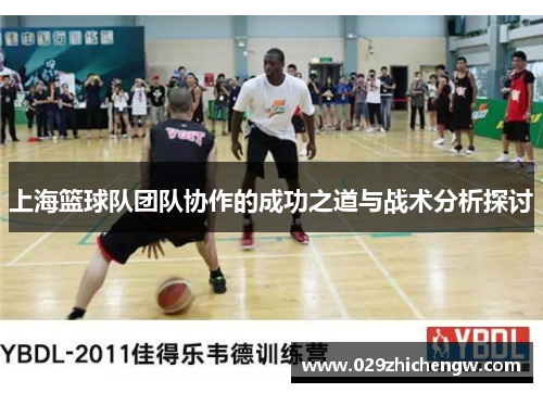 上海篮球队团队协作的成功之道与战术分析探讨