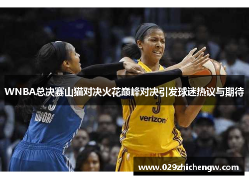 WNBA总决赛山猫对决火花巅峰对决引发球迷热议与期待